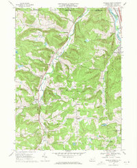 Franklin Forks 1968 topographic map thumbnail