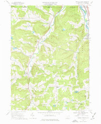 Franklin Forks 1968 topographic map thumbnail