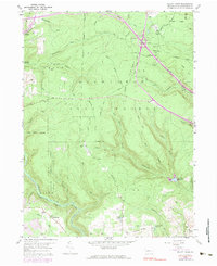 Elliott Park 1959 topographic map thumbnail