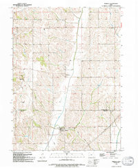 Mineola 1994 topographic map thumbnail
