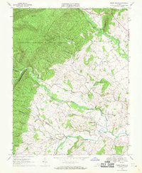 Briery Branch 1967 topographic map thumbnail