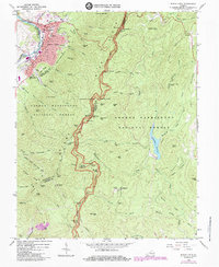 Buena Vista 1965 topographic map thumbnail