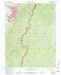 Buena Vista 1965 topographic map thumbnail