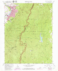Buena Vista 1965 topographic map thumbnail