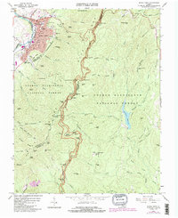 Buena Vista 1965 topographic map thumbnail