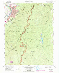 Buena Vista 1965 topographic map thumbnail