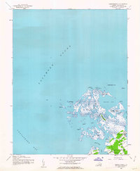 Chesconessex 1942 topographic map thumbnail