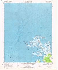 Chesconessex 1968 topographic map thumbnail
