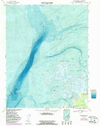 Chesconessex 1968 topographic map thumbnail