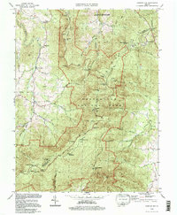 Chester Gap 1994 topographic map thumbnail