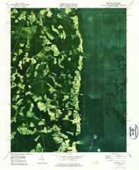 Corapeake 1977 topographic map thumbnail