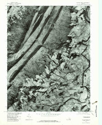 Elkton West 1977 topographic map thumbnail