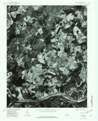 Esmont 1979 topographic map thumbnail