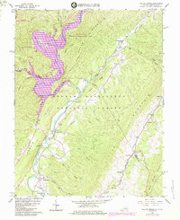 Falling Spring 1966 topographic map thumbnail