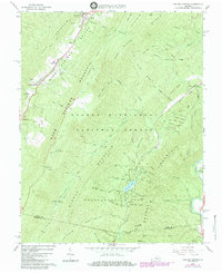 Healing Springs 1966 topographic map thumbnail