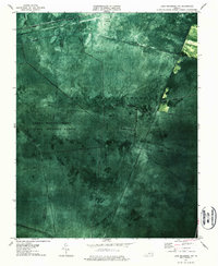 Lake Drummond NW 1977 topographic map thumbnail