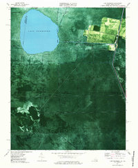 Lake Drummond 1977 topographic map thumbnail