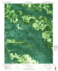 Lake Drummond SE 1977 topographic map thumbnail