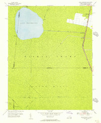 Lake Drummond 1954 topographic map thumbnail