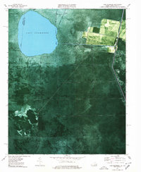 Lake Drummond 1977 topographic map thumbnail