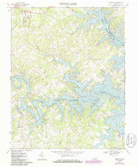 Moneta SW 1967 topographic map thumbnail