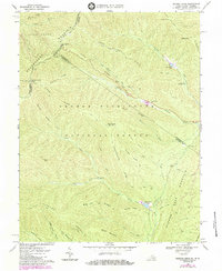 Reddish Knob 1967 topographic map thumbnail