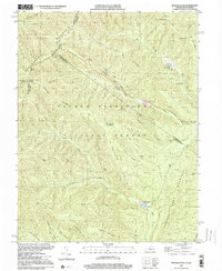 Reddish Knob 1999 topographic map thumbnail