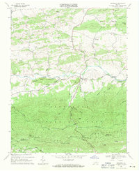 Speedwell 1968 topographic map thumbnail