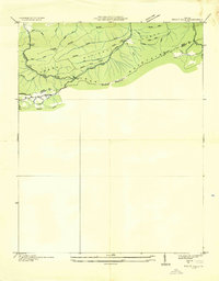 Trout Dale 1935 topographic map thumbnail