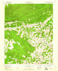 Trout Dale 1959 topographic map thumbnail