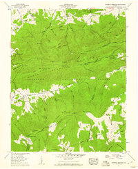 Whitetop Mountain 1959 topographic map thumbnail
