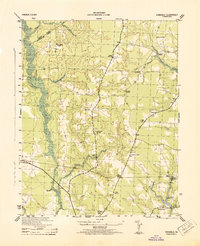 Vicksville 1943 topographic map thumbnail