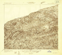 Rural Retreat 1931 topographic map preview