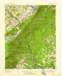 Buena Vista 1950 topographic map thumbnail