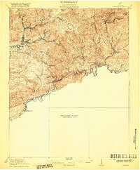 Coeburn 1920 topographic map thumbnail