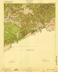 Coeburn 1920 topographic map thumbnail