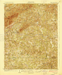 Critz 1928 topographic map thumbnail