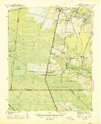 Lake Drummond 1945 topographic map thumbnail