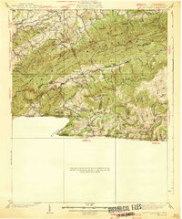 Mount Rogers topographic map thumbnail