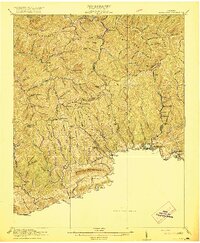 Richlands 1916 topographic map thumbnail