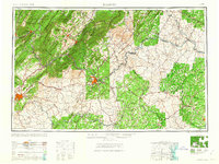 Roanoke 1963 topographic map thumbnail