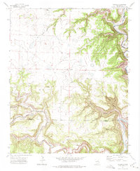 Alamito 1971 topographic map thumbnail