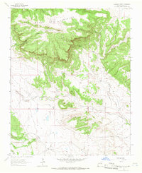 Alamosa Creek 1964 topographic map thumbnail