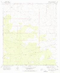 Andrews Place 1973 topographic map thumbnail