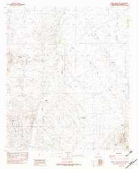 Animas Peak NE 1982 topographic map thumbnail