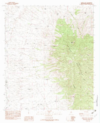 Animas Peak 1982 topographic map thumbnail