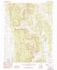 Apache Mesa 1983 topographic map preview