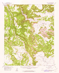 Apache Springs 1960 topographic map thumbnail
