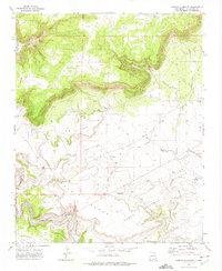 Arroyo Alamocito 1972 topographic map thumbnail