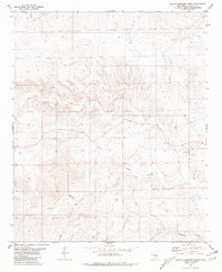 Arroyo Serrano East 1981 topographic map thumbnail